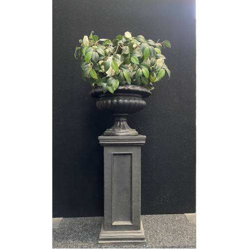 Black Urn with Topiary Ball